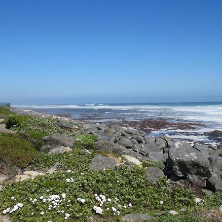 Palm Villa Cottage Kommetjie Bagian luar foto