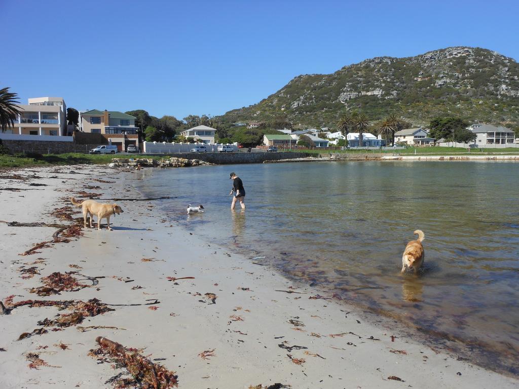 Palm Villa Cottage Kommetjie Bagian luar foto