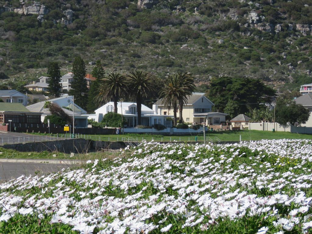 Palm Villa Cottage Kommetjie Bagian luar foto