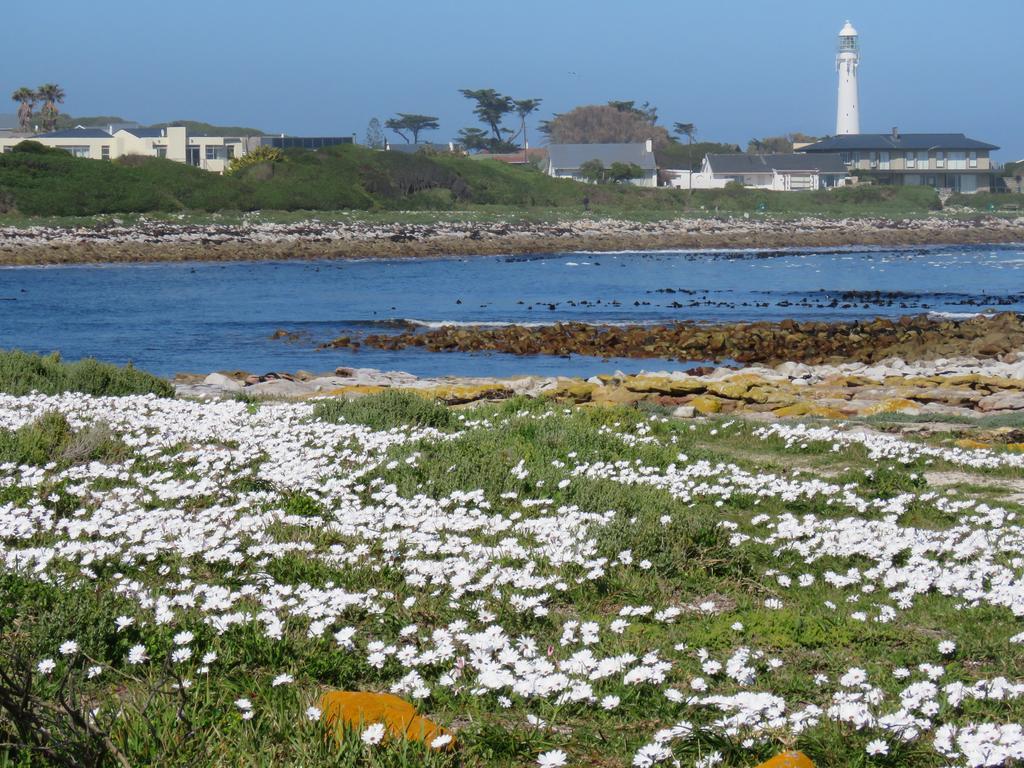 Palm Villa Cottage Kommetjie Bagian luar foto