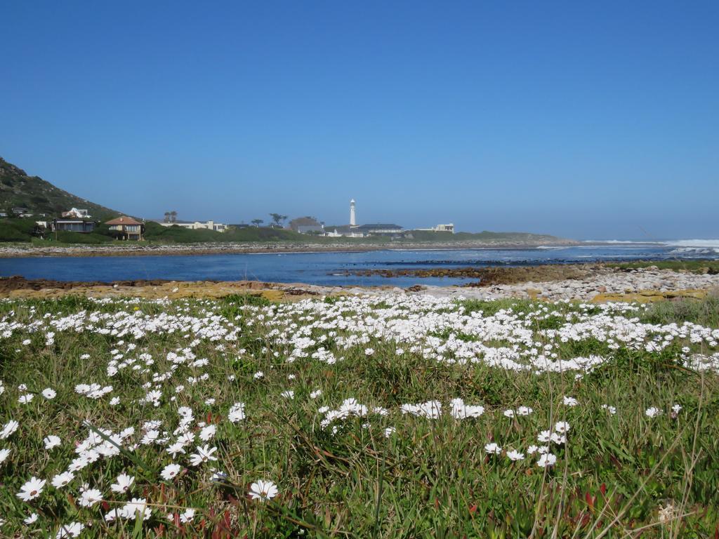 Palm Villa Cottage Kommetjie Bagian luar foto