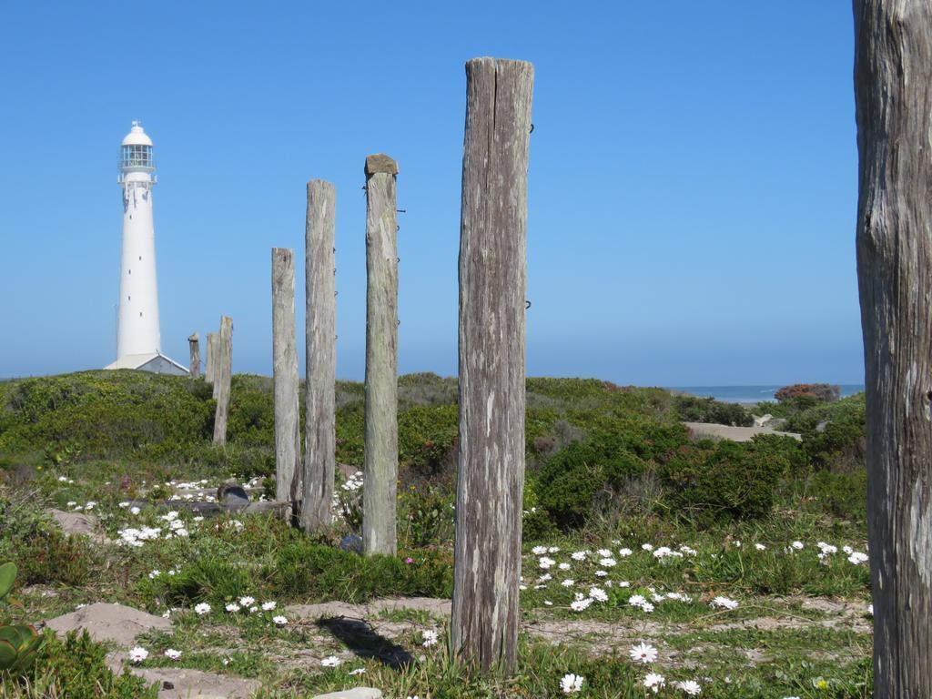 Palm Villa Cottage Kommetjie Bagian luar foto