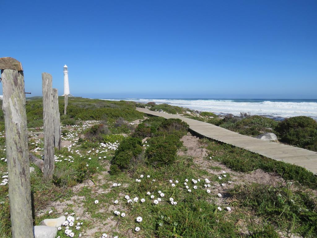 Palm Villa Cottage Kommetjie Bagian luar foto