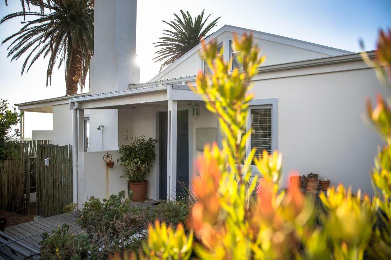 Palm Villa Cottage Kommetjie Bagian luar foto